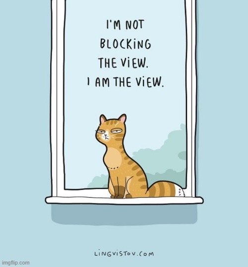 A Cats Way Of Thinking | image tagged in memes,comics,cats,not,blocked,the view | made w/ Imgflip meme maker