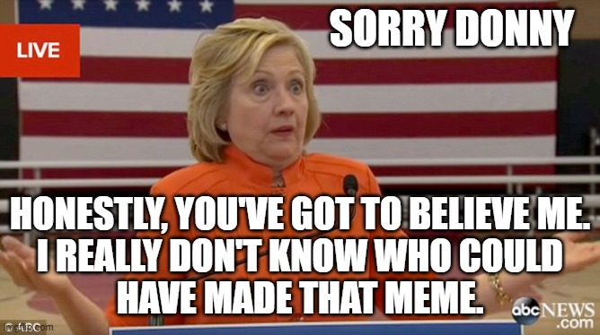 Hillary Orange Jump suit | SORRY DONNY HONESTLY, YOU'VE GOT TO BELIEVE ME.
I REALLY DON'T KNOW WHO COULD
HAVE MADE THAT MEME. | image tagged in hillary orange jump suit | made w/ Imgflip meme maker
