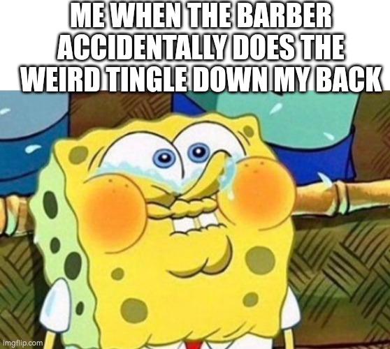 Spongebob Try Not to Laugh | ME WHEN THE BARBER ACCIDENTALLY DOES THE WEIRD TINGLE DOWN MY BACK | image tagged in spongebob try not to laugh,idk | made w/ Imgflip meme maker