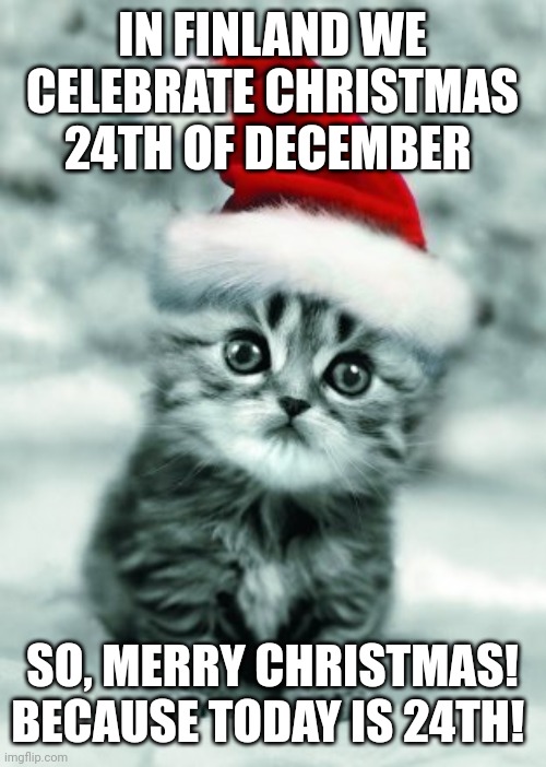X-mas kitten | IN FINLAND WE CELEBRATE CHRISTMAS 24TH OF DECEMBER; SO, MERRY CHRISTMAS!
BECAUSE TODAY IS 24TH! | image tagged in x-mas kitten | made w/ Imgflip meme maker