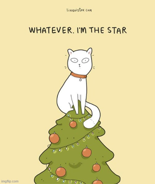 A Cats Way Of Thinking At Christmas | image tagged in memes,comics,cats,christmas tree,i'm sorry,star | made w/ Imgflip meme maker