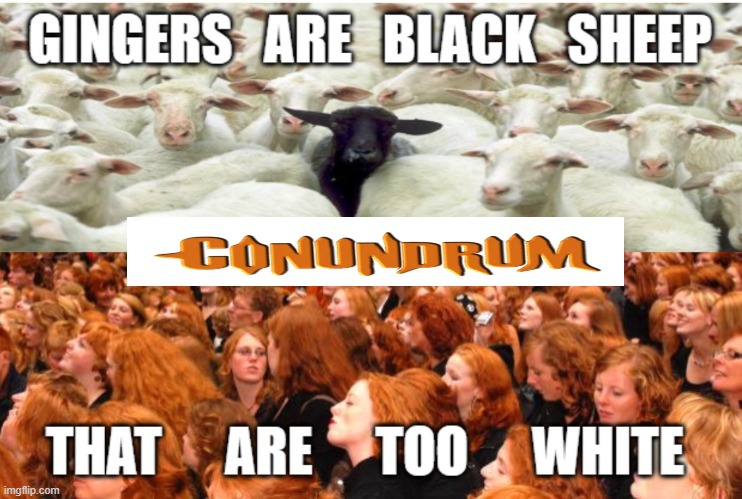 ginger conundrum | image tagged in redheads,ginger,gingers,black sheep | made w/ Imgflip meme maker