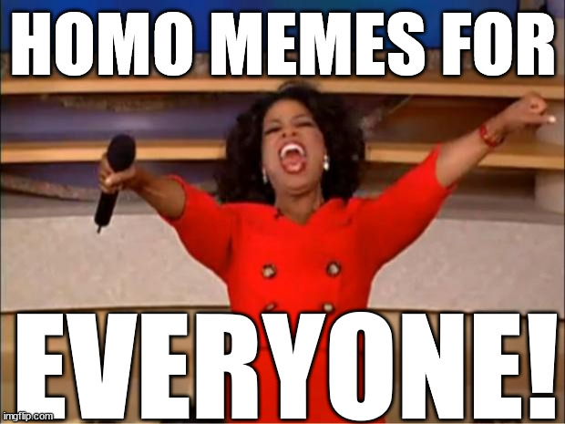 Oprah You Get A Meme | HOMO MEMES FOR EVERYONE! | image tagged in memes,oprah you get a | made w/ Imgflip meme maker