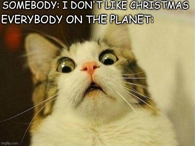 Everybody likes Christmas, you idiot | SOMEBODY: I DON'T LIKE CHRISTMAS; EVERYBODY ON THE PLANET: | image tagged in memes,scared cat | made w/ Imgflip meme maker