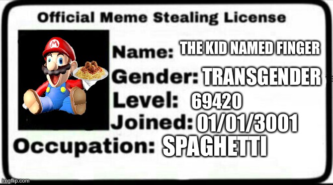 Mario's Official Info | THE KID NAMED FINGER; TRANSGENDER; 69420; 01/01/3001; SPAGHETTI | image tagged in meme stealing license | made w/ Imgflip meme maker