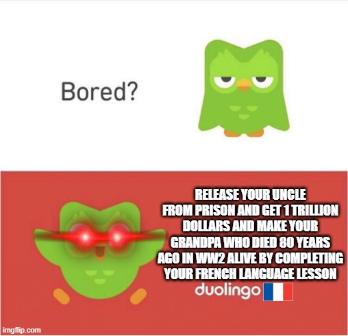 it is true | RELEASE YOUR UNCLE FROM PRISON AND GET 1 TRILLION DOLLARS AND MAKE YOUR GRANDPA WHO DIED 80 YEARS AGO IN WW2 ALIVE BY COMPLETING YOUR FRENCH LANGUAGE LESSON | image tagged in duolingo bored | made w/ Imgflip meme maker
