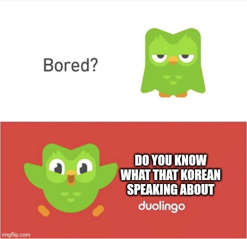 Speaking South Korea | DO YOU KNOW WHAT THAT KOREAN SPEAKING ABOUT | image tagged in duolingo bored,duolingo,dank memes,south korea | made w/ Imgflip meme maker