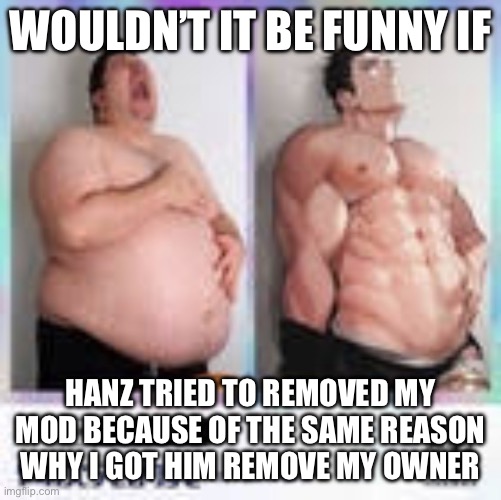 Nikocado anime | WOULDN’T IT BE FUNNY IF; HANZ TRIED TO REMOVED MY MOD BECAUSE OF THE SAME REASON WHY I GOT HIM REMOVE MY OWNER | image tagged in nikocado anime | made w/ Imgflip meme maker