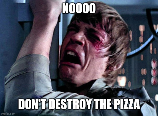 Nooo | NOOOO DON'T DESTROY THE PIZZA | image tagged in nooo | made w/ Imgflip meme maker