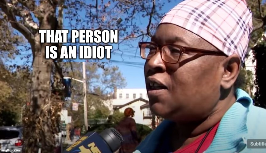 Idiots | THAT PERSON IS AN IDIOT | image tagged in idiots | made w/ Imgflip meme maker