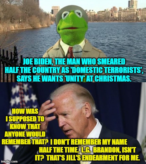 It's the little endearments in life that matter. | JOE BIDEN, THE MAN WHO SMEARED HALF THE COUNTRY AS 'DOMESTIC TERRORISTS', SAYS HE WANTS 'UNITY' AT CHRISTMAS. HOW WAS I SUPPOSED TO KNOW THAT ANYONE WOULD REMEMBER THAT? I DON'T REMEMBER MY NAME HALF THE TIME.  L.G.  BRANDON, ISN'T IT?  THAT'S JILL'S ENDEARMENT FOR ME. | image tagged in kermit news report | made w/ Imgflip meme maker