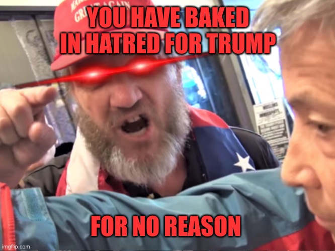 Angry Trump Supporter | YOU HAVE BAKED IN HATRED FOR TRUMP FOR NO REASON | image tagged in angry trump supporter | made w/ Imgflip meme maker