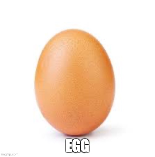 EGG | EGG | image tagged in egg,eggs | made w/ Imgflip meme maker