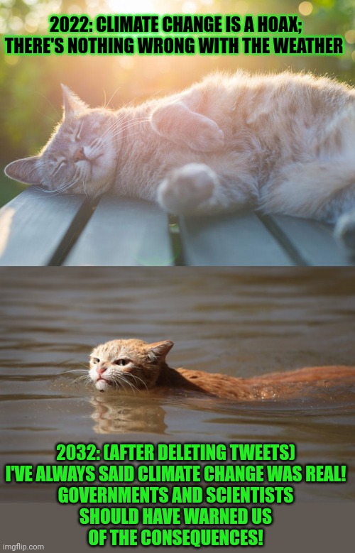 This #lolcat will have a chat with surviving climate change deniers | 2022: CLIMATE CHANGE IS A HOAX;
THERE'S NOTHING WRONG WITH THE WEATHER; 2032: (AFTER DELETING TWEETS)
I'VE ALWAYS SAID CLIMATE CHANGE WAS REAL!
GOVERNMENTS AND SCIENTISTS
SHOULD HAVE WARNED US
OF THE CONSEQUENCES! | image tagged in climate change,stupid people,lolcat,think about it,weather | made w/ Imgflip meme maker