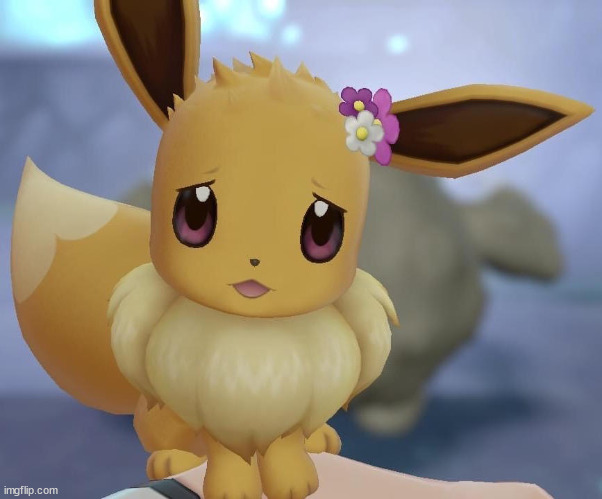 Scared Eevee | image tagged in scared eevee | made w/ Imgflip meme maker