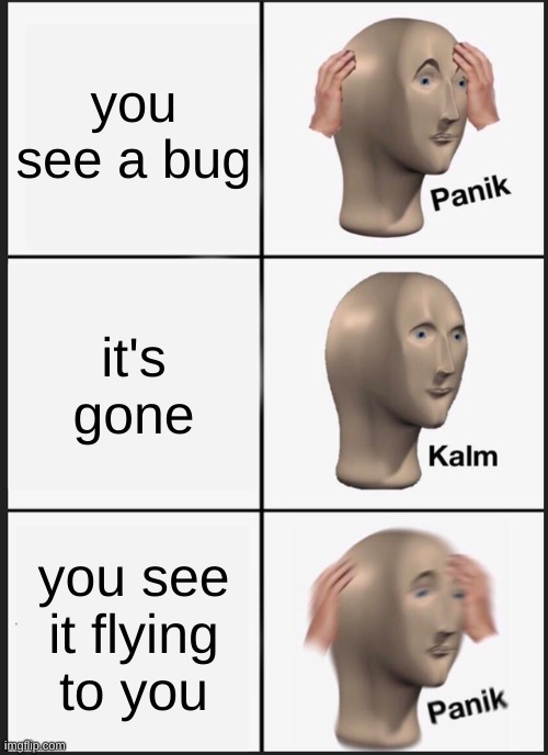 Panik Kalm Panik | you see a bug; it's gone; you see it flying to you | image tagged in memes,panik kalm panik | made w/ Imgflip meme maker