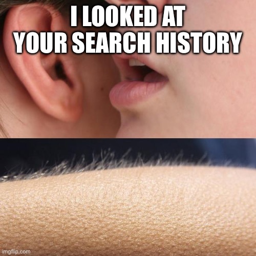 Search history | I LOOKED AT YOUR SEARCH HISTORY | image tagged in whisper and goosebumps,memes,funny memes,search history | made w/ Imgflip meme maker