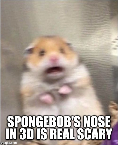 Scared Hamster | SPONGEBOB'S NOSE IN 3D IS REAL SCARY | image tagged in scared hamster | made w/ Imgflip meme maker