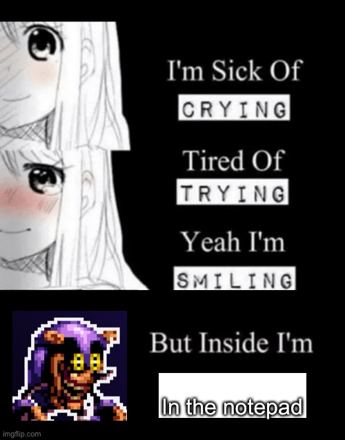 I'm Sick Of Crying | In the notepad | image tagged in i'm sick of crying,mighty zip | made w/ Imgflip meme maker