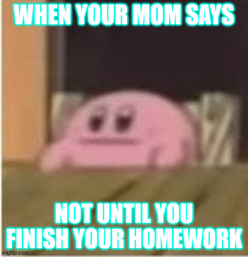 not until you finish your homework