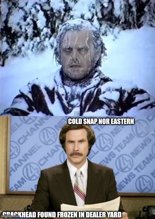 COLD SNAP NOR EASTERN; CRACKHEAD FOUND FROZEN IN DEALER YARD | image tagged in jack frost,memes,ron burgundy | made w/ Imgflip meme maker