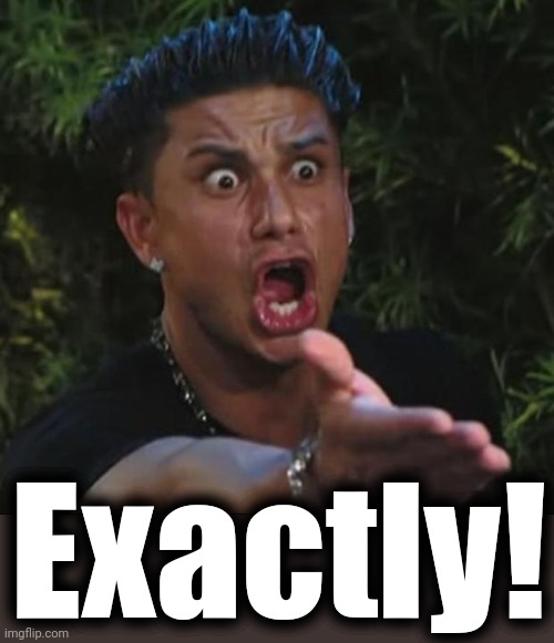 DJ Pauly D Meme | Exactly! | image tagged in memes,dj pauly d | made w/ Imgflip meme maker