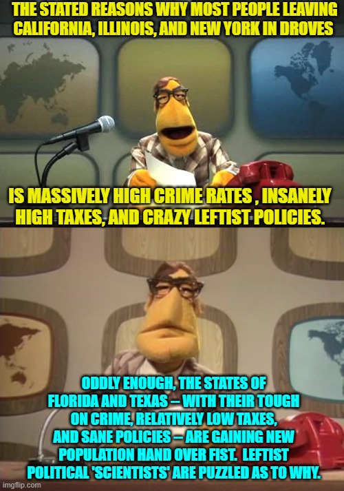 Conservative Sanity versus Leftist Insanity. | THE STATED REASONS WHY MOST PEOPLE LEAVING CALIFORNIA, ILLINOIS, AND NEW YORK IN DROVES; IS MASSIVELY HIGH CRIME RATES , INSANELY HIGH TAXES, AND CRAZY LEFTIST POLICIES. ODDLY ENOUGH, THE STATES OF FLORIDA AND TEXAS -- WITH THEIR TOUGH ON CRIME, RELATIVELY LOW TAXES, AND SANE POLICIES -- ARE GAINING NEW POPULATION HAND OVER FIST.  LEFTIST POLITICAL 'SCIENTISTS' ARE PUZZLED AS TO WHY. | image tagged in muppet news flash | made w/ Imgflip meme maker