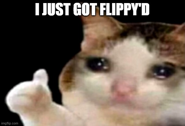 I JUST GOT FLIPPY'D | image tagged in sad cat thumbs up | made w/ Imgflip meme maker