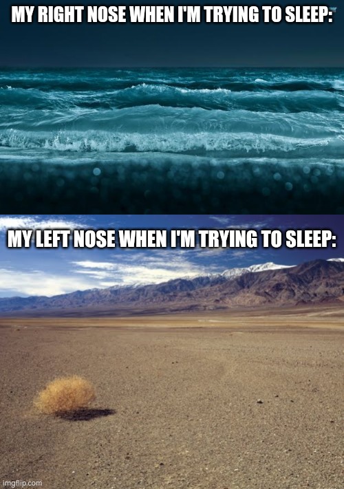 MY RIGHT NOSE WHEN I'M TRYING TO SLEEP:; MY LEFT NOSE WHEN I'M TRYING TO SLEEP: | image tagged in ocean waves,desert tumbleweed,nose,sleep | made w/ Imgflip meme maker