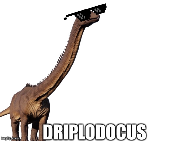 Drippy | DRIPLODOCUS | image tagged in funny,fun,memes | made w/ Imgflip meme maker