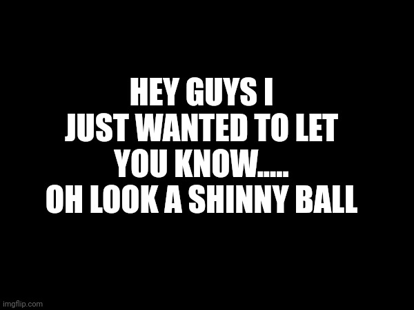 HEY GUYS I JUST WANTED TO LET YOU KNOW..... OH LOOK A SHINNY BALL | made w/ Imgflip meme maker