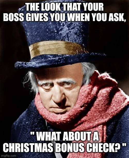 Boss |  THE LOOK THAT YOUR BOSS GIVES YOU WHEN YOU ASK, " WHAT ABOUT A CHRISTMAS BONUS CHECK? " | image tagged in job | made w/ Imgflip meme maker