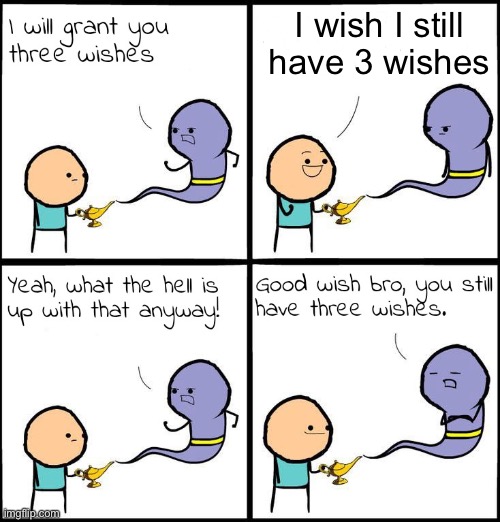 Good wish | I wish I still have 3 wishes | image tagged in 3 wishes | made w/ Imgflip meme maker