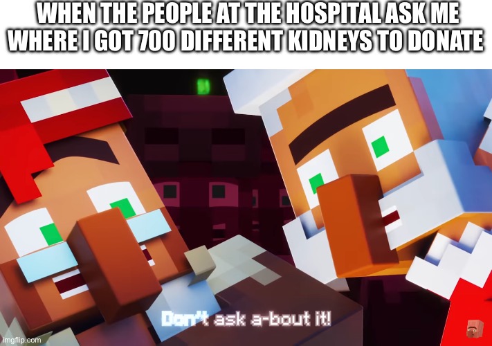 [ERROR 404 CREATIVE TITLE NOT FOUND] | WHEN THE PEOPLE AT THE HOSPITAL ASK ME WHERE I GOT 700 DIFFERENT KIDNEYS TO DONATE | image tagged in idk | made w/ Imgflip meme maker