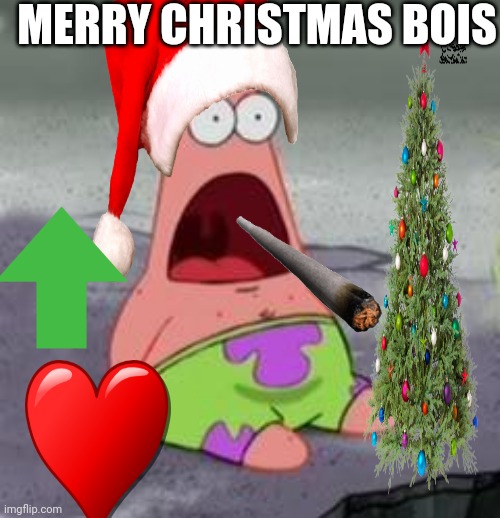 Merry Christmas Boi!? | MERRY CHRISTMAS BOIS | image tagged in suprised patrick | made w/ Imgflip meme maker