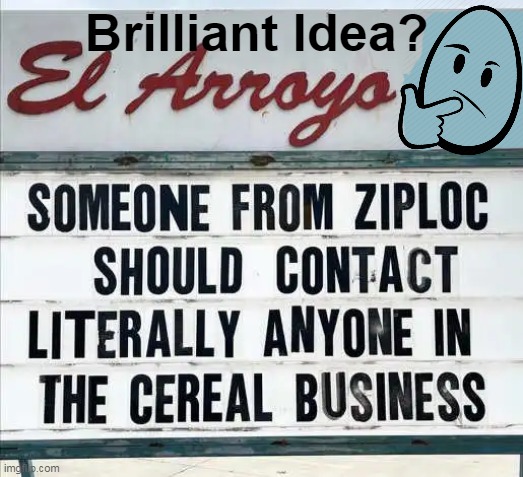 Makes Sense to Me... | Brilliant Idea? | image tagged in fun,good idea,makes sense,signs,inventions,signs/billboards | made w/ Imgflip meme maker