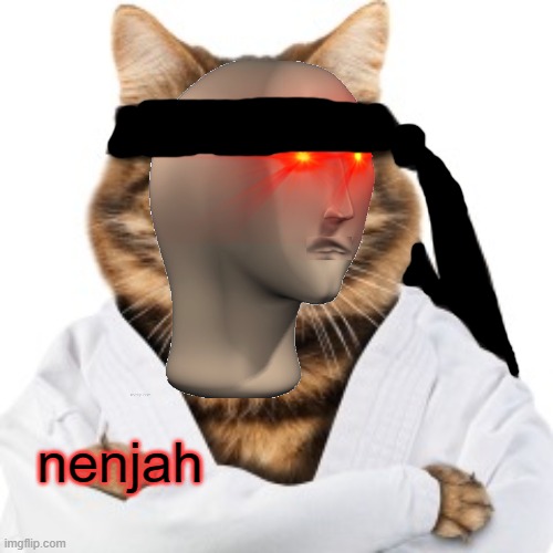 Karate cat | nenjah | image tagged in karate cat | made w/ Imgflip meme maker