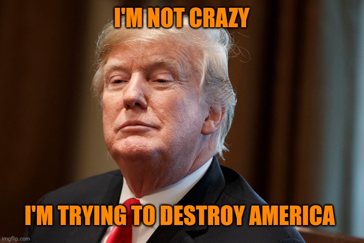 Trump | I'M NOT CRAZY I'M TRYING TO DESTROY AMERICA | image tagged in trump | made w/ Imgflip meme maker