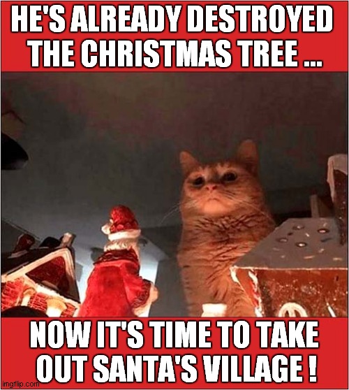 Every Year He Does This ! | HE'S ALREADY DESTROYED 
THE CHRISTMAS TREE ... NOW IT'S TIME TO TAKE 
OUT SANTA'S VILLAGE ! | image tagged in cats,christmas,destruction | made w/ Imgflip meme maker