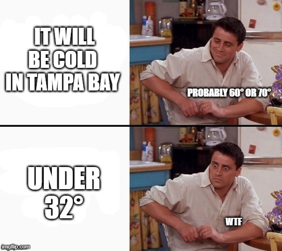 Florida 2022 | IT WILL BE COLD IN TAMPA BAY; PROBABLY 60° OR 70°; UNDER 32°; WTF | image tagged in comprehending joey | made w/ Imgflip meme maker