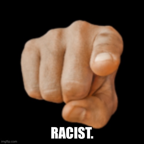 pointing at camera | RACIST. | image tagged in pointing at camera | made w/ Imgflip meme maker