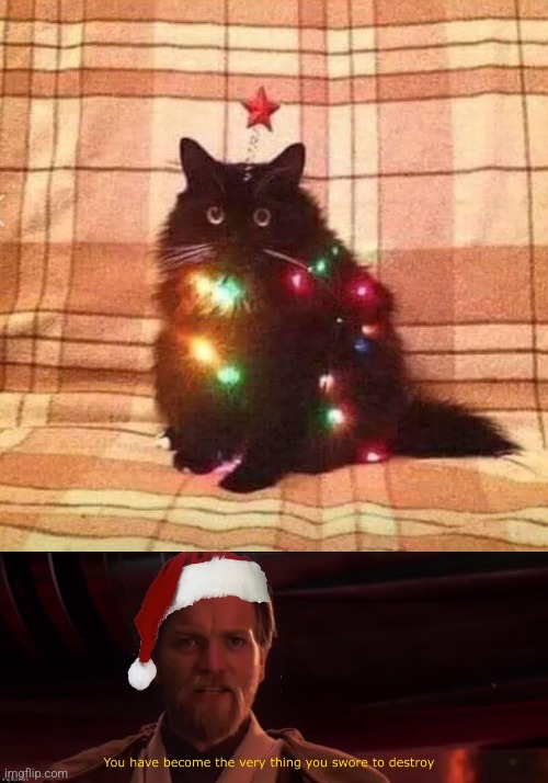 THE KITTY HAD BECOME THE TREE | image tagged in cats,funny cats,christmas | made w/ Imgflip meme maker