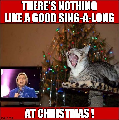 A Cat's Duet ! | THERE'S NOTHING LIKE A GOOD SING-A-LONG; AT CHRISTMAS ! | image tagged in cats,singing,christmas | made w/ Imgflip meme maker