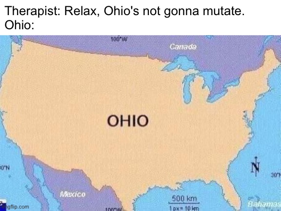 Ohio mutation | Therapist: Relax, Ohio's not gonna mutate.
Ohio: | image tagged in ohio | made w/ Imgflip meme maker