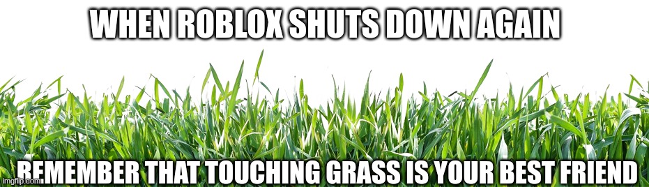 i did that same thing | WHEN ROBLOX SHUTS DOWN AGAIN; REMEMBER THAT TOUCHING GRASS IS YOUR BEST FRIEND | image tagged in roblox,touching,grass,shutdown | made w/ Imgflip meme maker