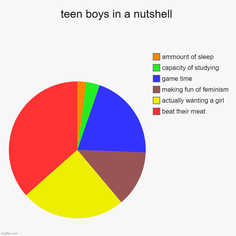 this describes me perfectly | teen boys in a nutshell | beat their meat, actually wanting a girl, making fun of feminism, game time, capacity of studying, ammount of slee | image tagged in charts,pie charts | made w/ Imgflip chart maker