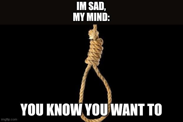 lynch rope | IM SAD,
MY MIND:; YOU KNOW YOU WANT TO | image tagged in lynch rope | made w/ Imgflip meme maker