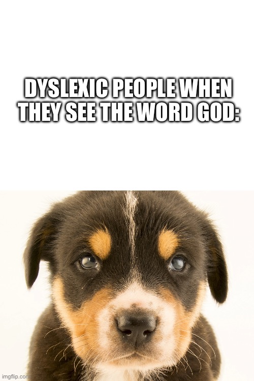 This is not meant to offend anyone’s so sorry if it does | DYSLEXIC PEOPLE WHEN THEY SEE THE WORD GOD: | image tagged in blank white template | made w/ Imgflip meme maker