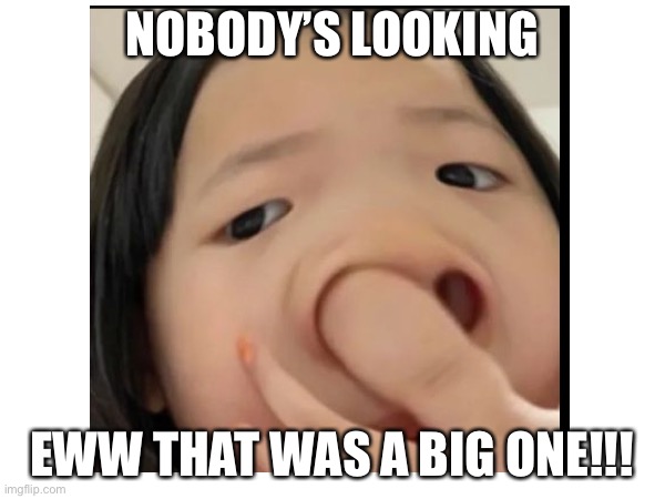 Boggah be gone | NOBODY’S LOOKING; EWW THAT WAS A BIG ONE!!! | image tagged in funny memes | made w/ Imgflip meme maker
