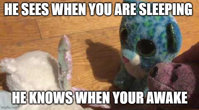 The stuffie movie meme | HE SEES WHEN YOU ARE SLEEPING; HE KNOWS WHEN YOUR AWAKE | image tagged in the stuffie movie meme | made w/ Imgflip meme maker